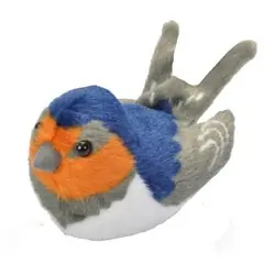 Golondrina Común (con sonido)