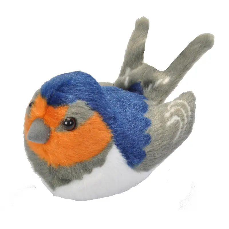 Golondrina Común (con sonido)