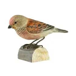 Pardillo Común (madera)