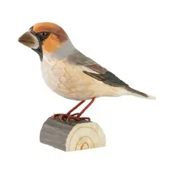 Picogordo (madera)