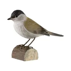 Curruca Capirotada (madera)