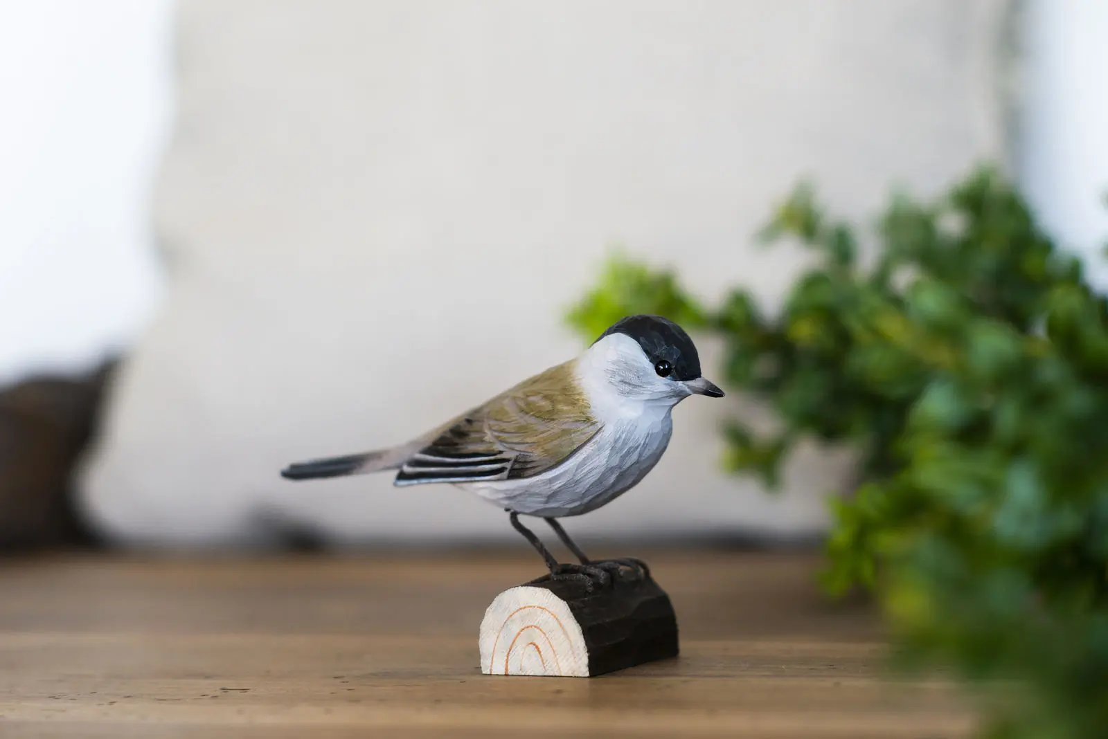Curruca Capirotada (madera)