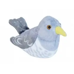 Cuco (con sonido)