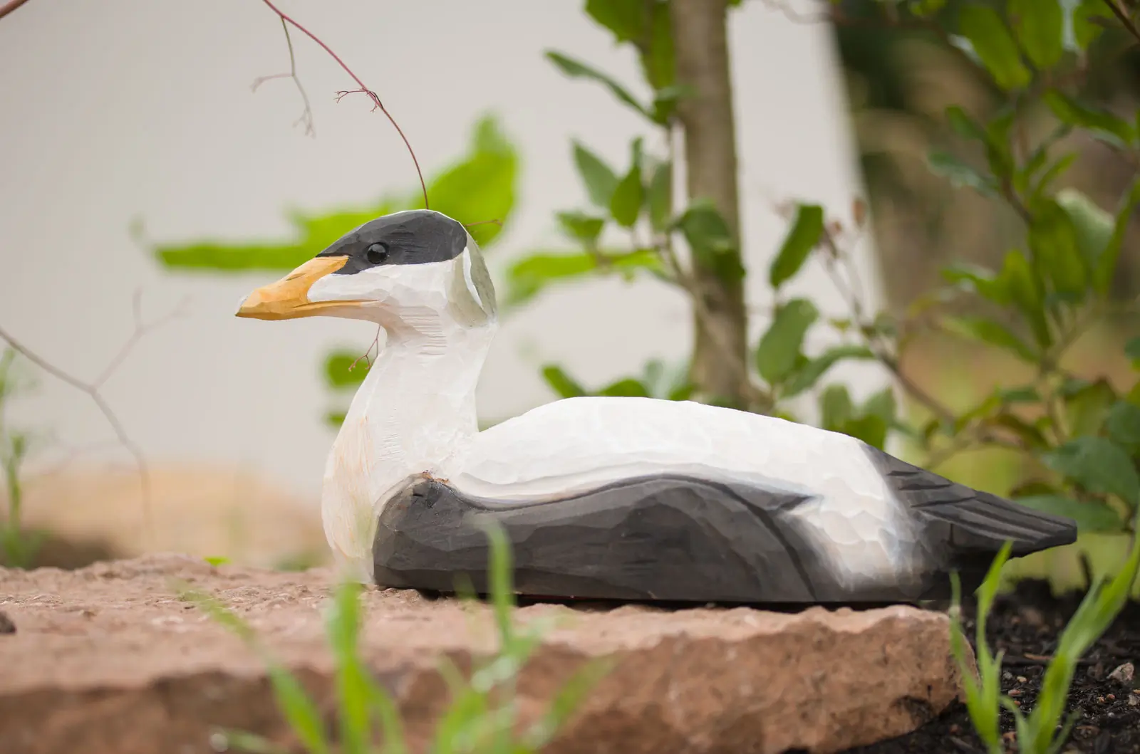 Eider (madera)