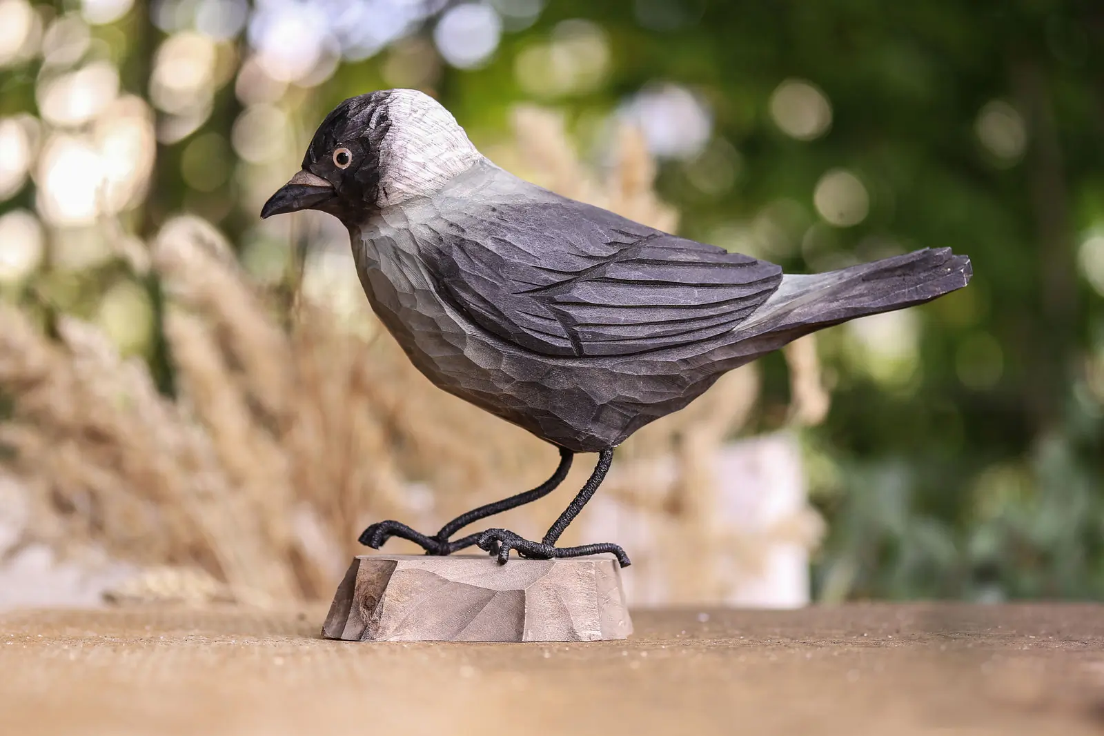 Grajilla Occidental (madera)