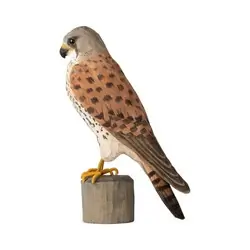 Cernicalo (madera)