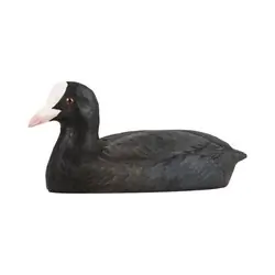 Focha Común (madera)