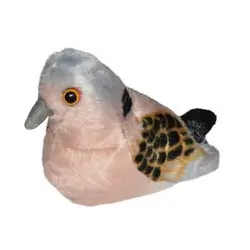 Tórtola (con sonido)