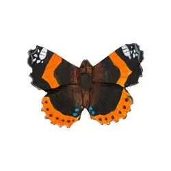 Imán (vanessa atalanta)