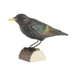 Estornino Pinto (madera)