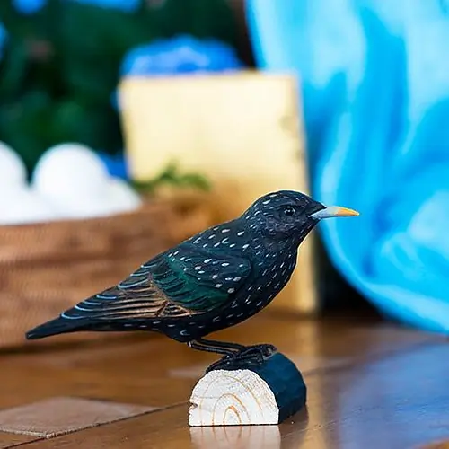 Estornino Pinto (madera)