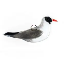 Gaviota Reidora (vaso)