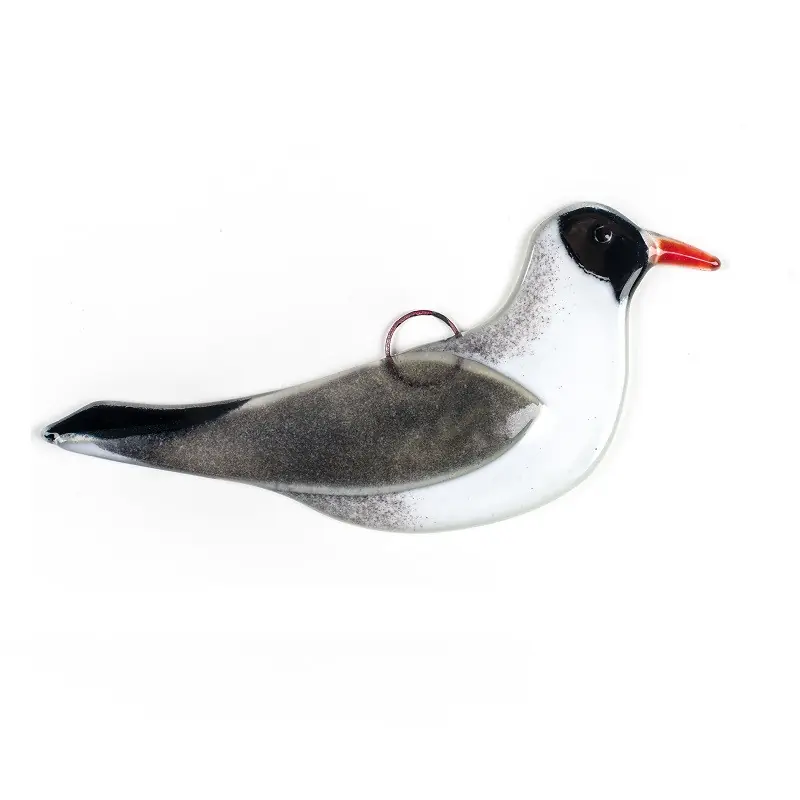 Gaviota Reidora (vaso)