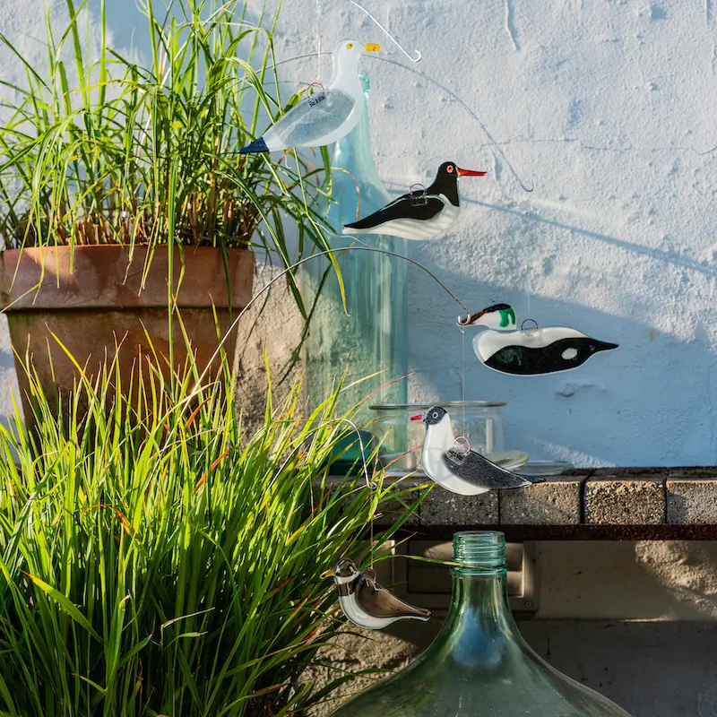 Gaviota Reidora (vaso)