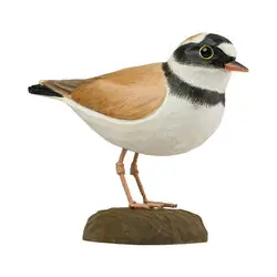 Chorlitejo Chico (madera)