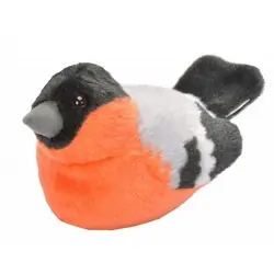 Camachuelo (con sonido)