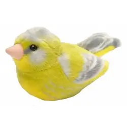 Verderón (con sonido)