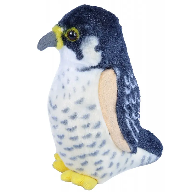 Halcón Peregrino (con sonido)