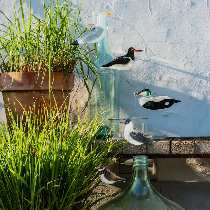 Gaviota Argéntea (vaso)